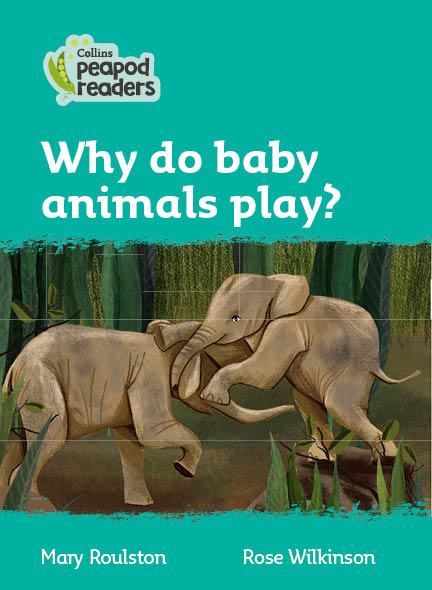 Why do baby animals play?